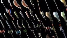 道士的多元战斗艺术 道士的多元战斗艺术